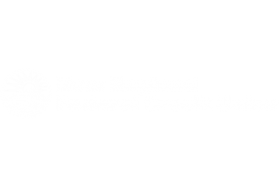 New England Federal Credit Union Visa Explorer Rewards Credit Card