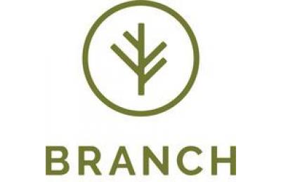 Branch Auto Insurance