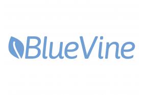 BlueVine Business Loan