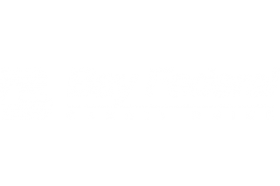 Bay Federal Credit Union